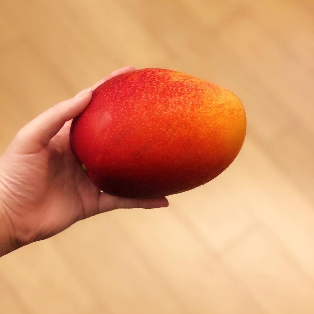 他花2500卢比买了一棵果苗,意外种出"每颗近万元"的梦幻芒果