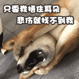 睡前悄悄变美丨这些好物精致女孩一定要拥有!