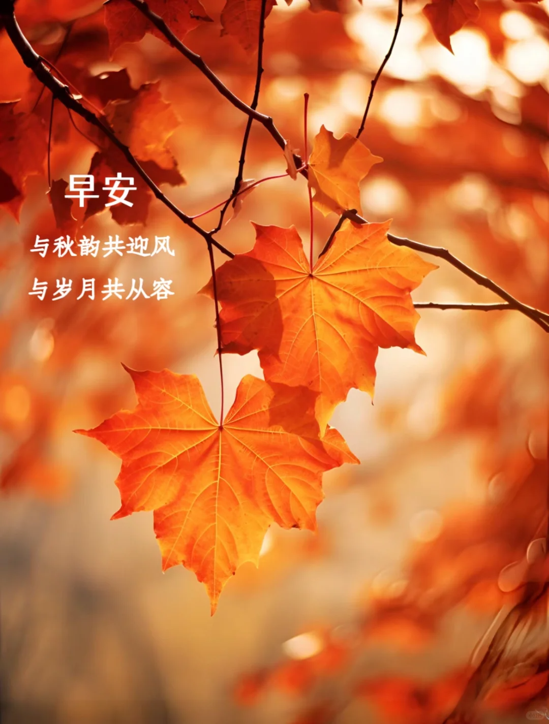 适合秋天发的朋友圈早安文案短句