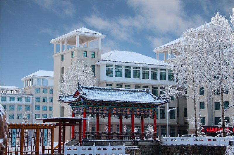甘肃民族师范学院雪景照片