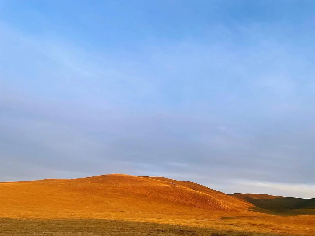 满都拉镇:广阔草原上的绿色粮仓和亿万人民的餐桌