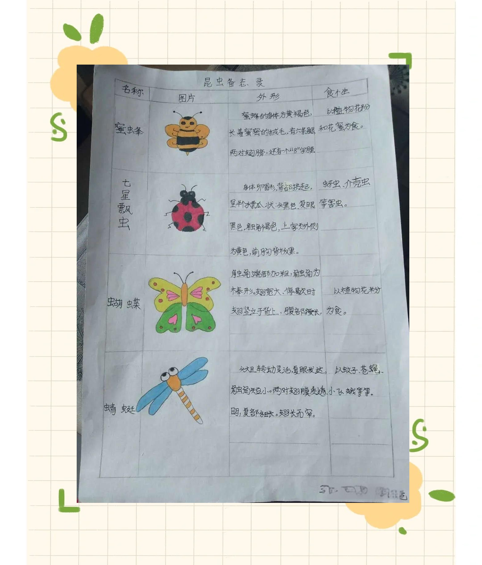 「美素教育•触觉二小」停课不停学