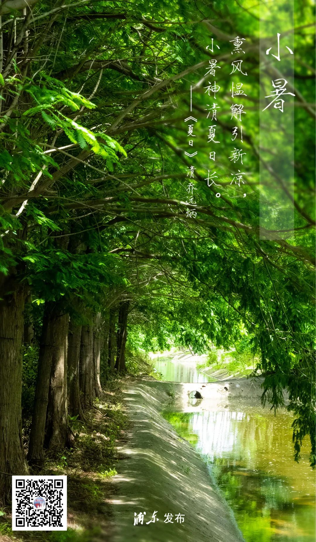 小暑图片风景图片图片