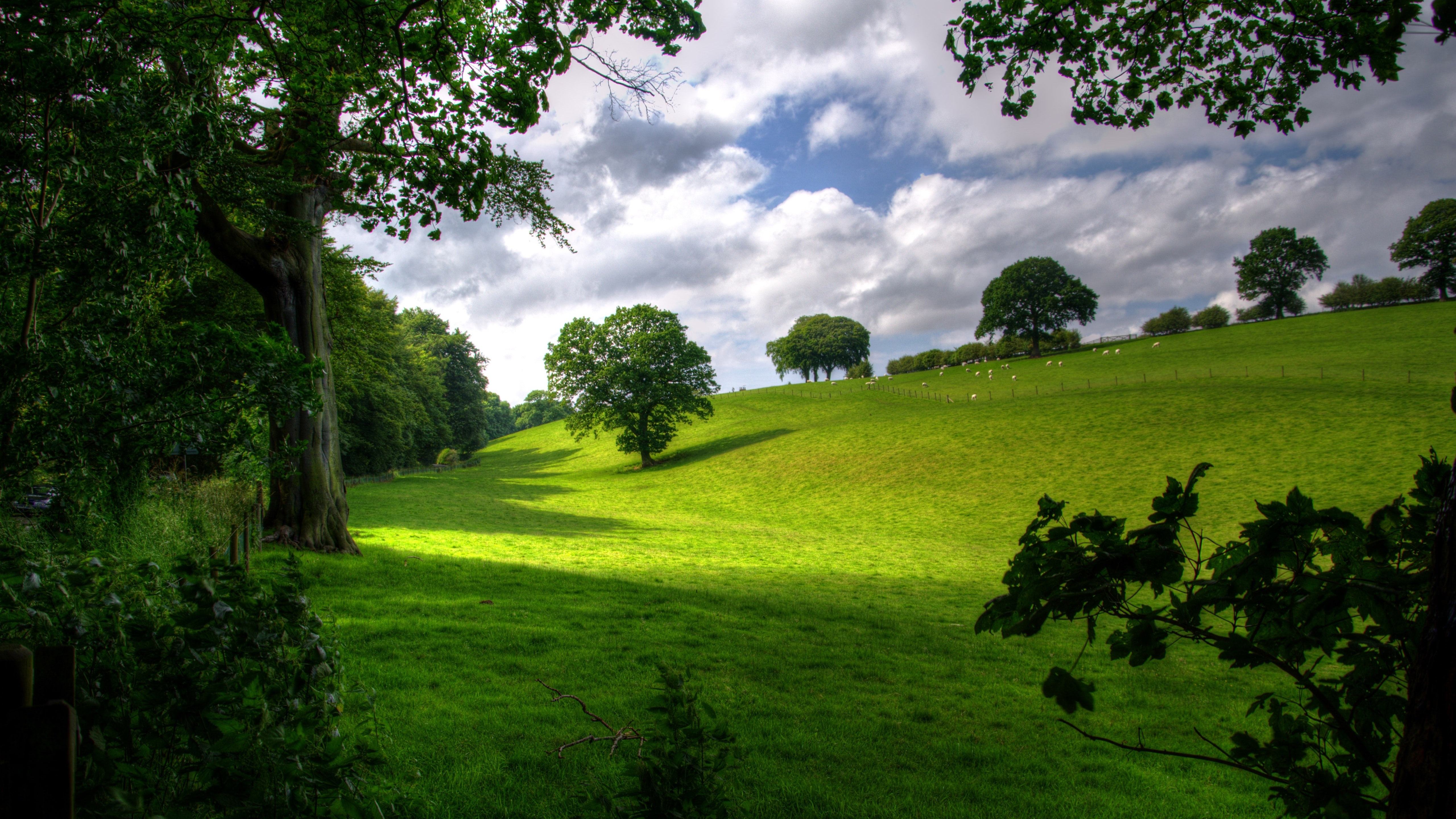美丽心情——大自然的美