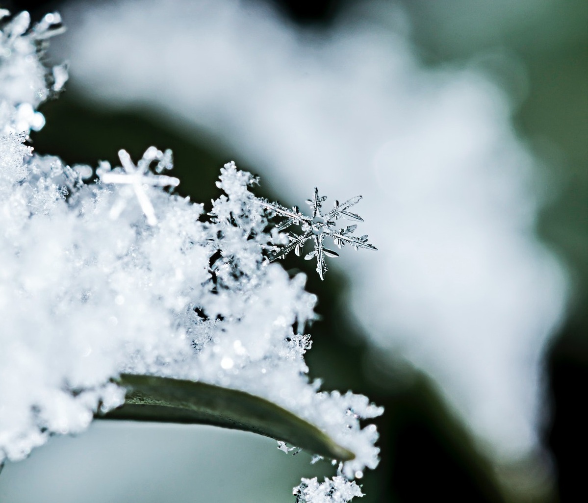 图片雪图片