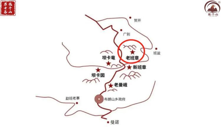 新班章和老班章有何区别?