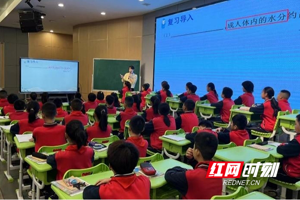 青龙湾小学图片