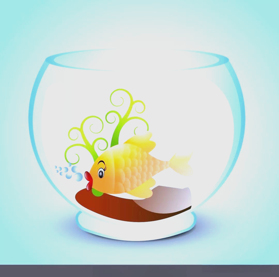 各种颜色的小鱼在水中欢快地游来游去,五彩缤纷,可爱极了