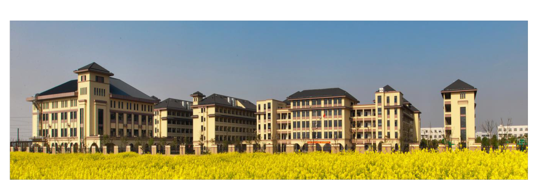 杭州树兰高中图片