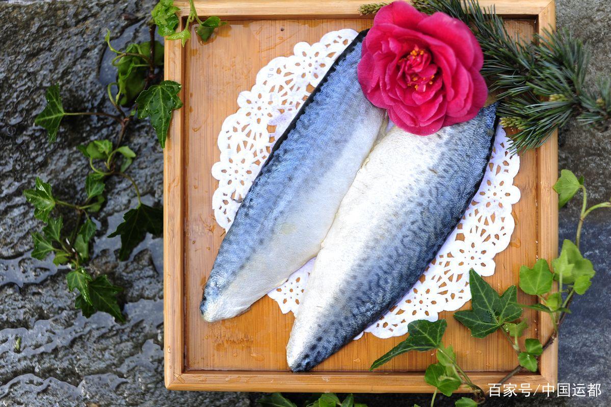 海识 青花鱼 谈天说地 食品论坛 Powered By Discuz