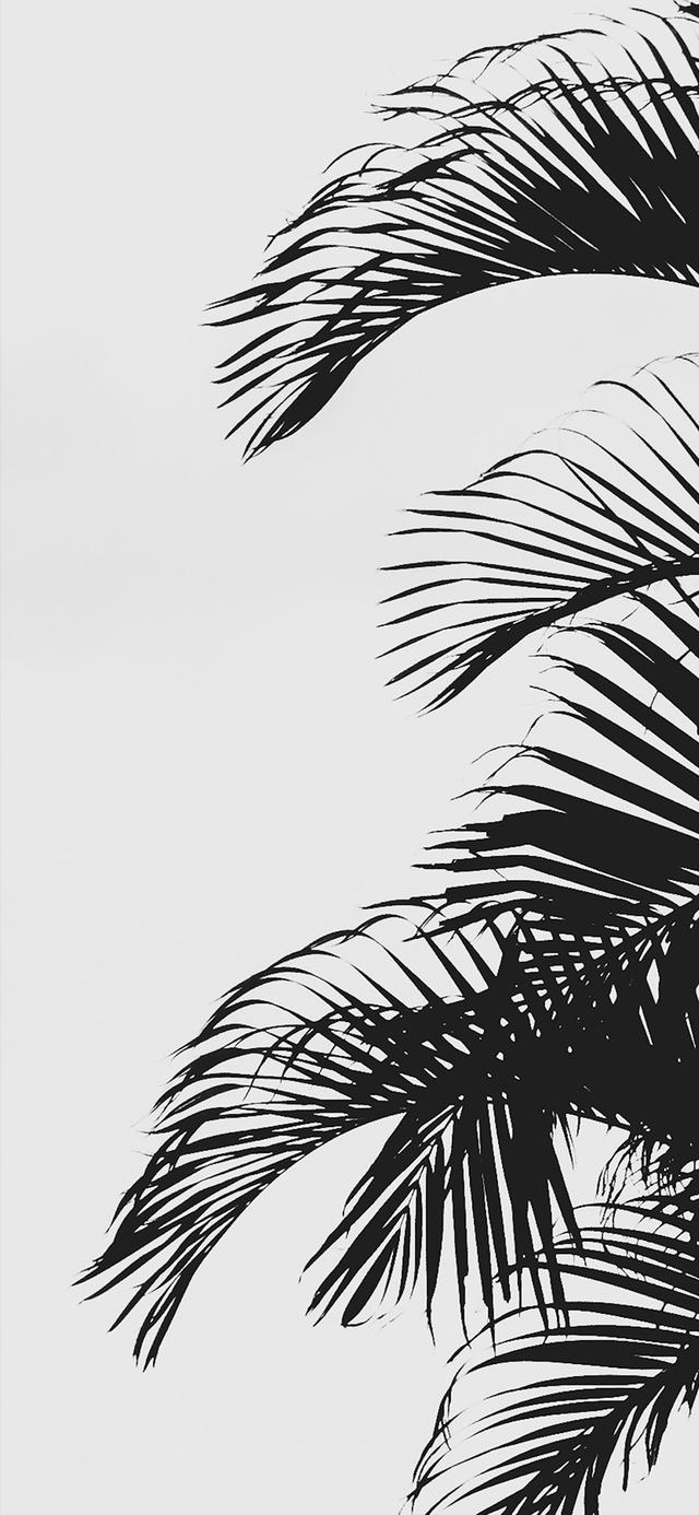 壁纸|充满冷淡风的壁纸