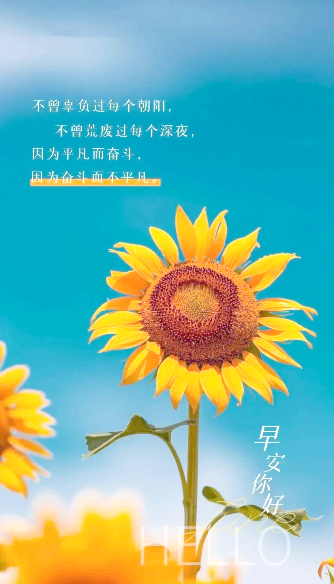 励志短句致自己图片正能量(励志短句致自己图片正能量文案)