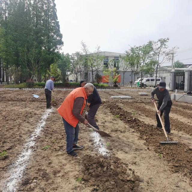 江苏新沂市力推农村敬老院改革转型，提升农村区域养老服务中心效能