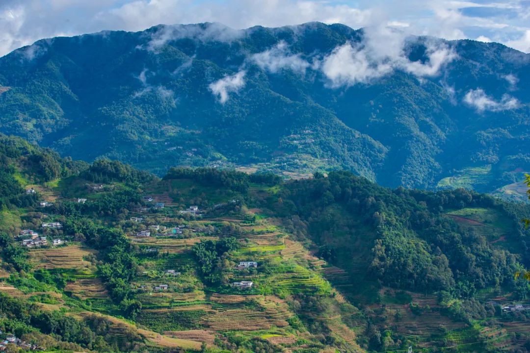 云南还有惊喜的可能吗