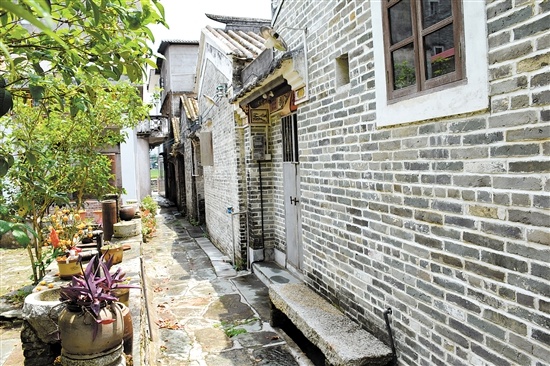 开平市塘口镇仓前村:一个值得留下来好好品味的地方