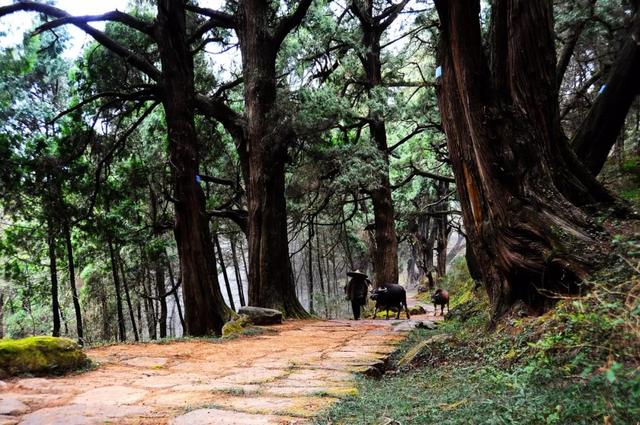 蜀道明珠——七曲山