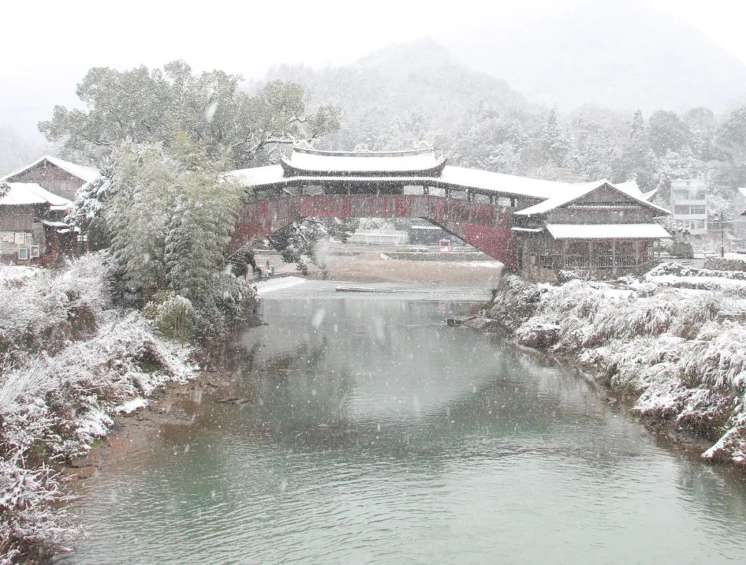 南方的人,什么样的幸运才能连遇两场雪,2022,在泰顺的人也太幸福了