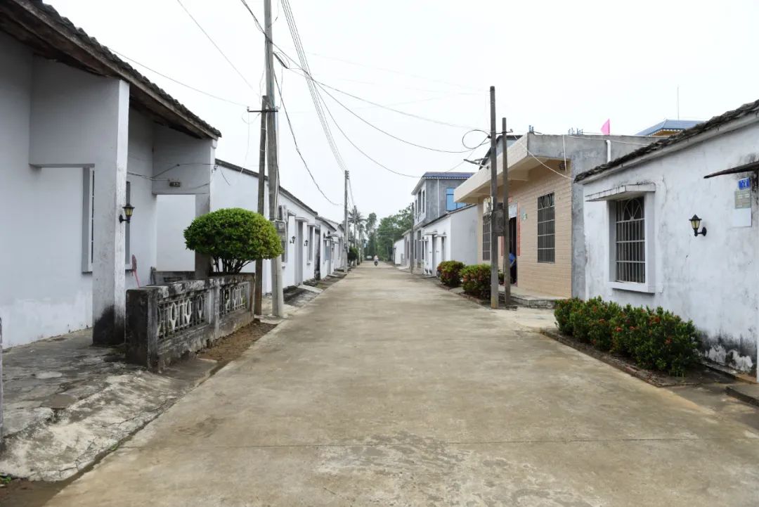 司迺超深入福山镇调研经济社会发展情况