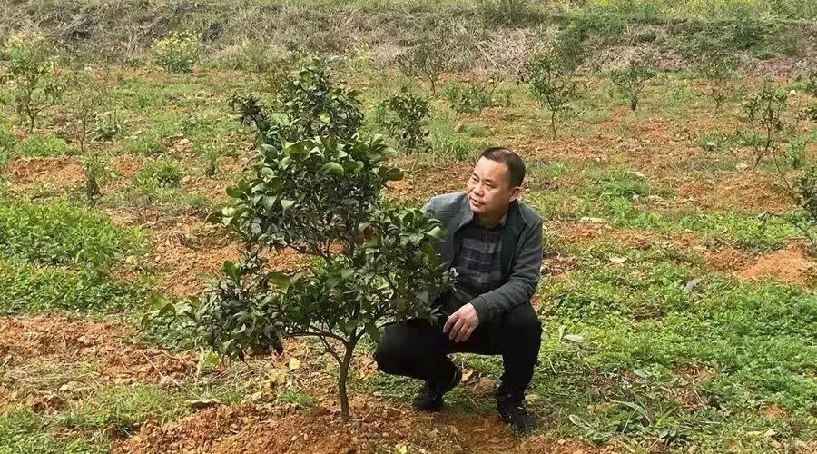 「聚焦两会」委员风采|王书军:在他心里,最美是担当有为