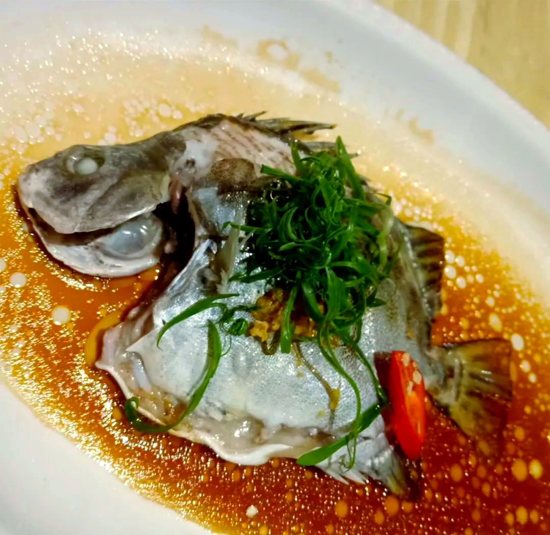 金鼓鱼:与老虎齐名的水中生物,探索其不平凡的奥秘