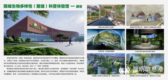 守护生物多样性之美 楚姚高速公路路域建设纪实