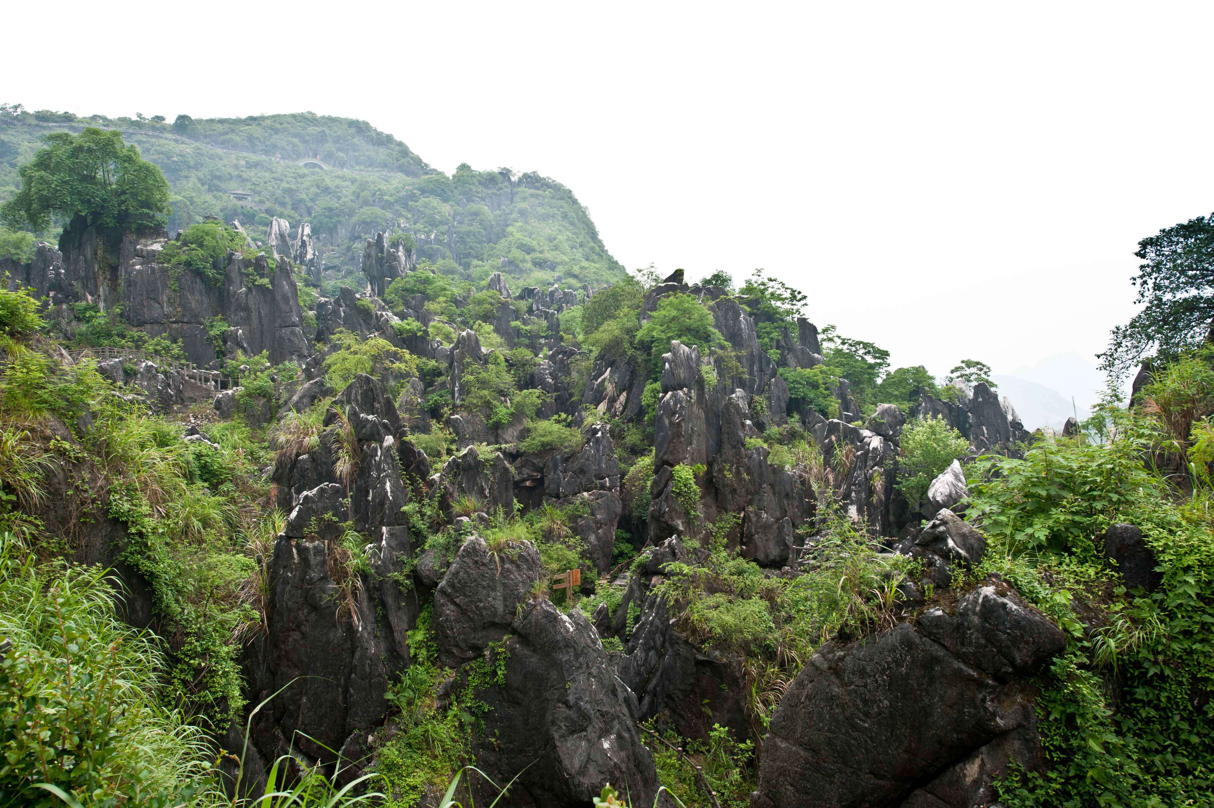 广西旅行去哪?这里被誉为自然的艺术殿堂,有鬼斧神工的山石风景
