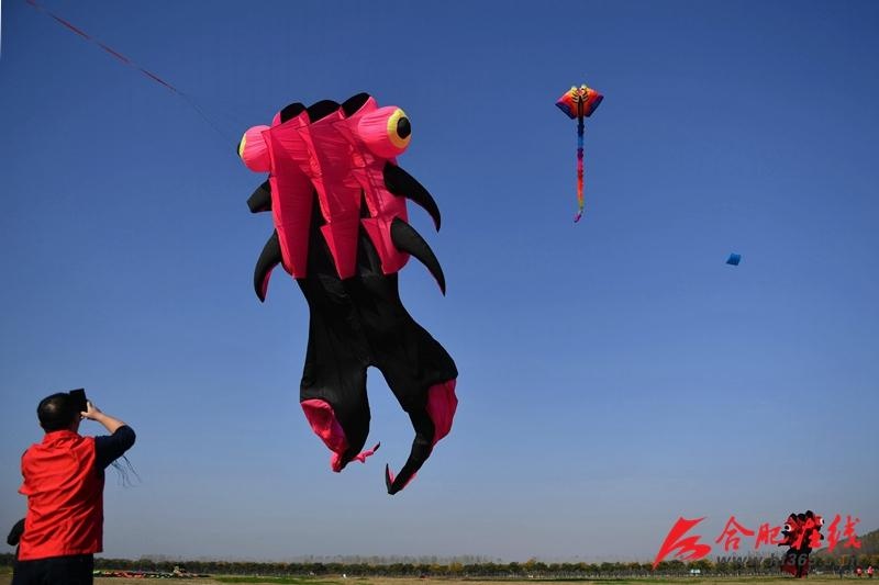 两只全国最大的风筝亮相合肥市运会
