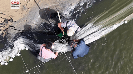 新疆巴州：“死亡之?！北摹棒~米之鄉(xiāng)”-有駕