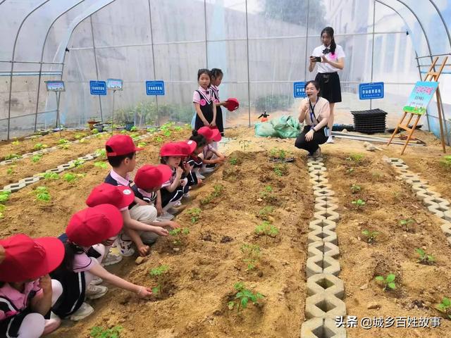 湖北英山县金铺中学开展太空种子种植活动成果分享会