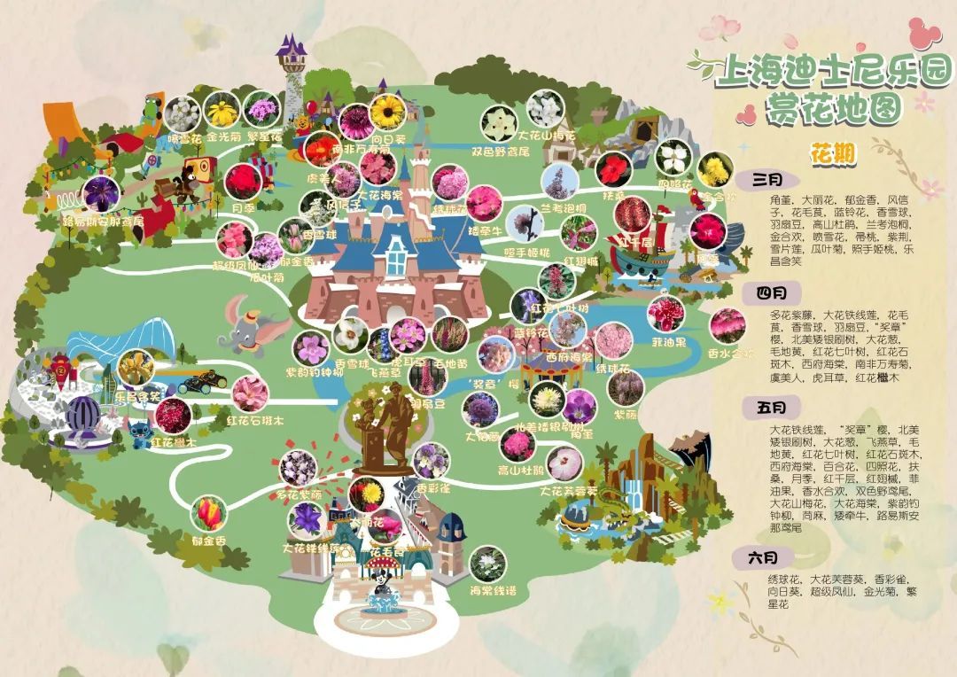 上海迪士尼你拿好这份赏花指南去春游啦