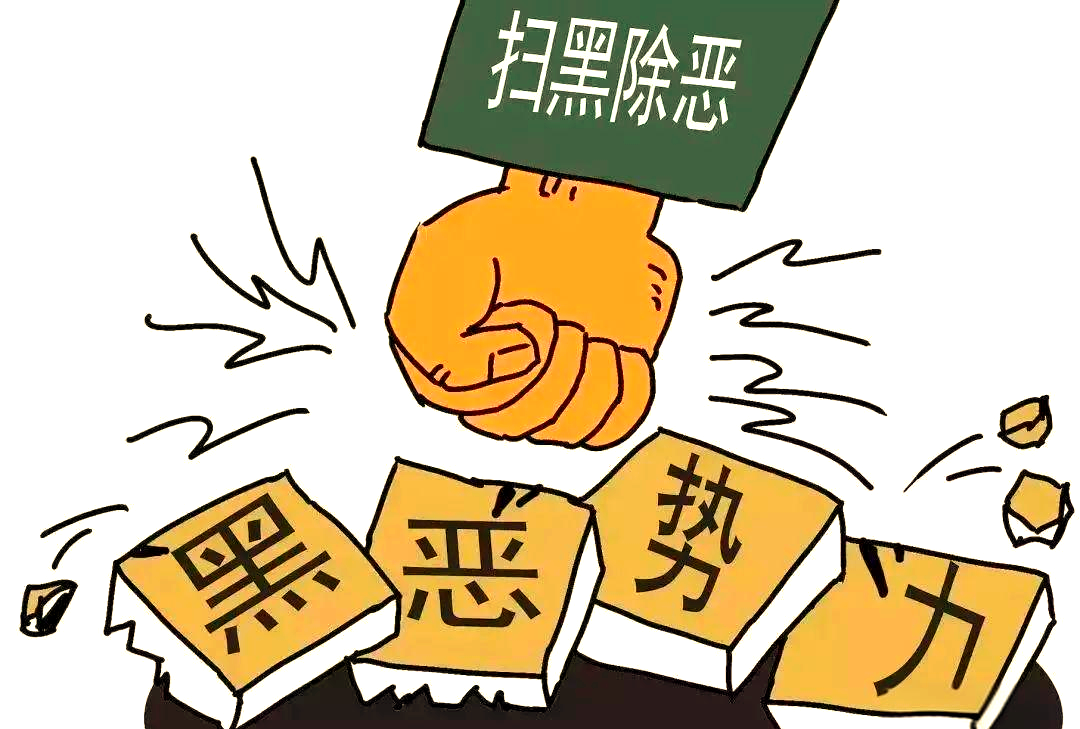 扫黑除恶斗争的全面知识概览