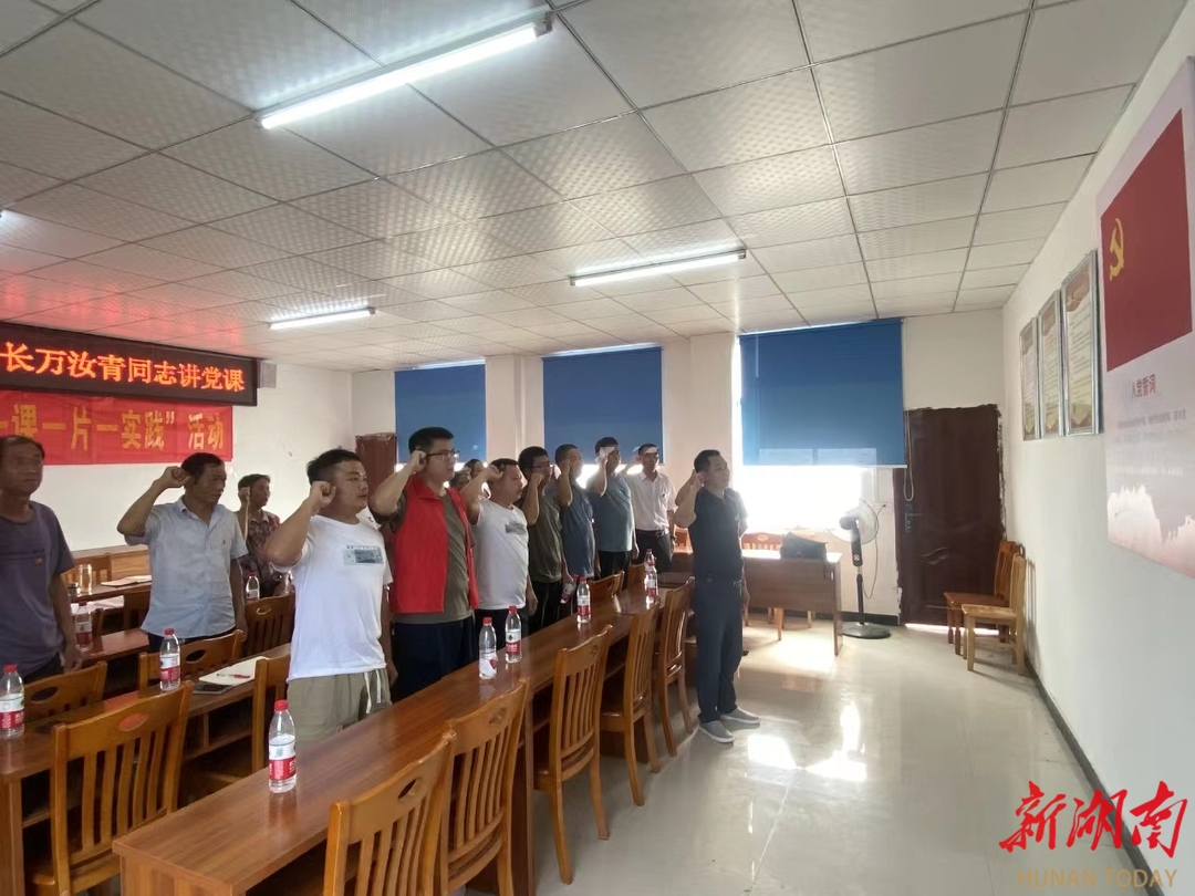 万汝青到江华大路铺镇老村开展主题党日活动