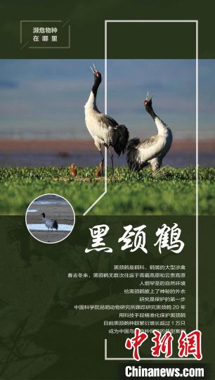 陈宜瑜院士:国家濒科委在履约国际舞台上贡献中国智慧