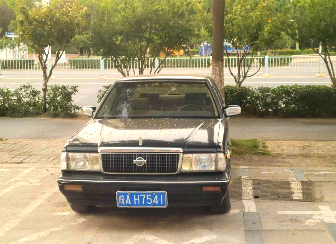 90年代经典公爵王,方方正正的稳健之选