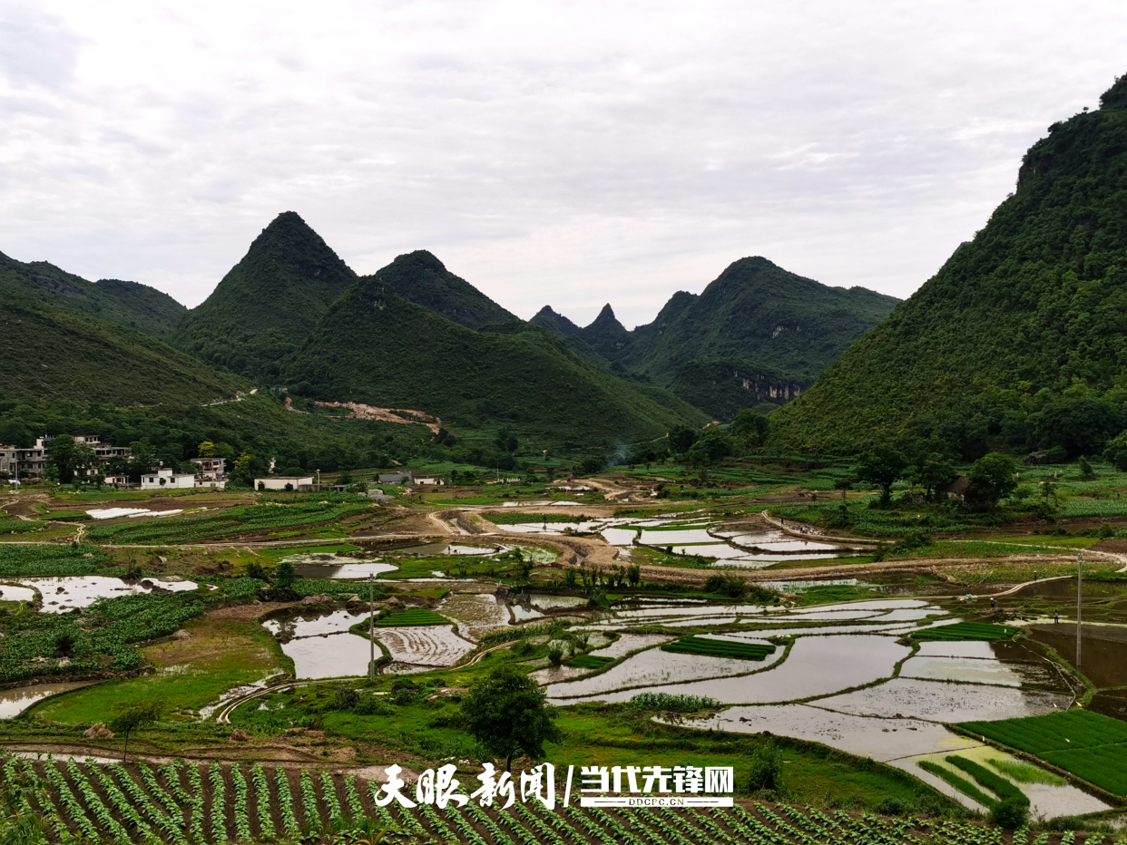贞丰县者相镇:整治村庄环境卫生打造宜居乡村