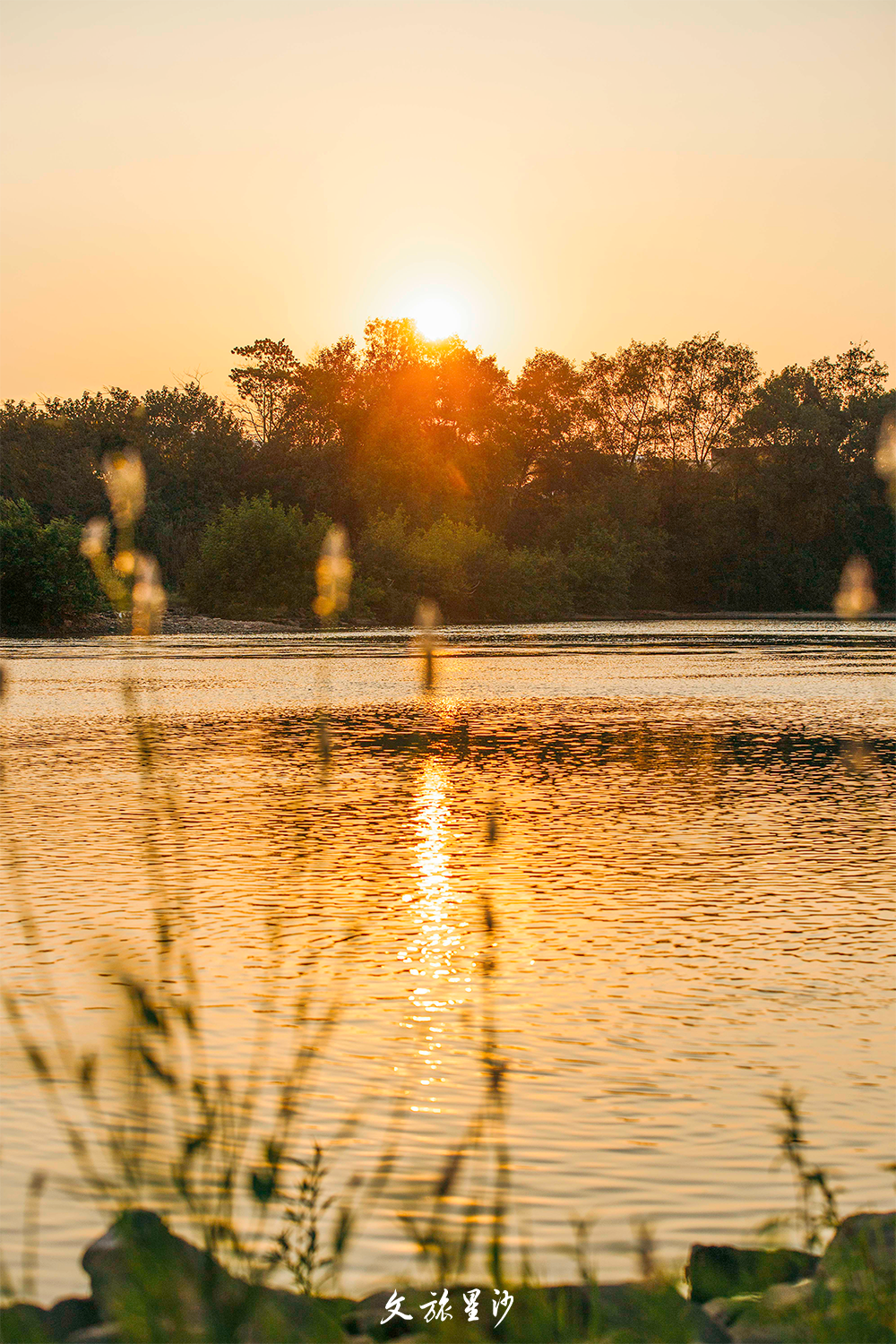 被誉为长沙周边后花园的龙喜水乡,风景秀美,是假期遛娃放松的
