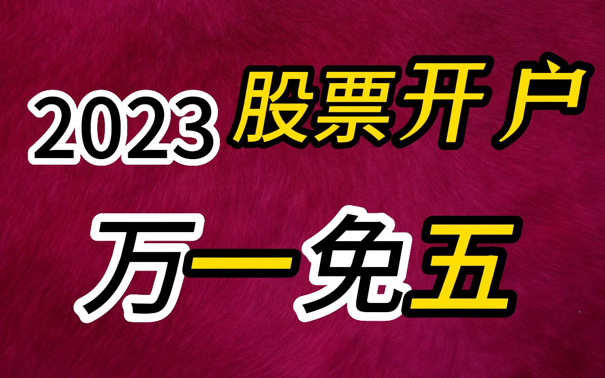 开立证券账户(公司开立证券账户)