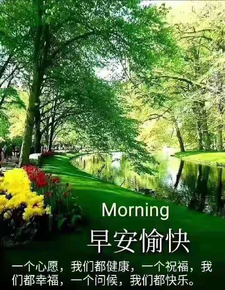 适合早上发朋友圈的早安励志句子,新的一天,加油