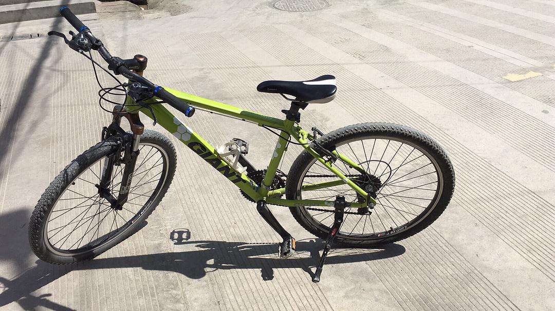 saft自行车是什么牌子