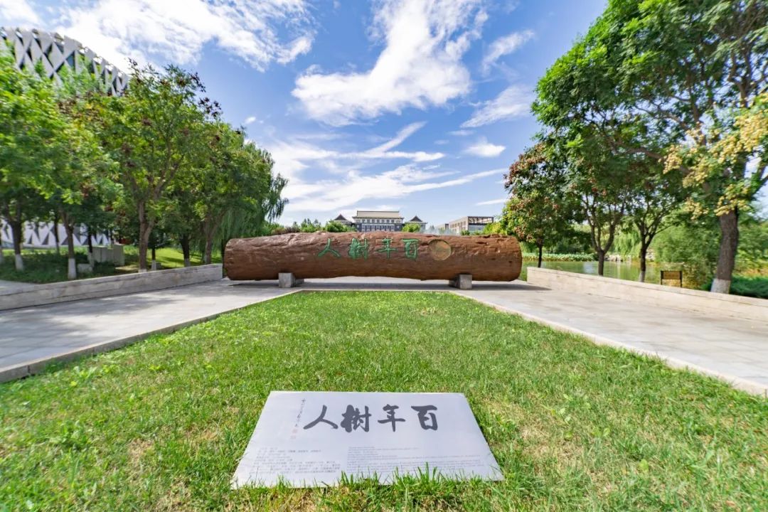 這所建築老八校正在被北京建築大學所超越,何時才能進入雙一流