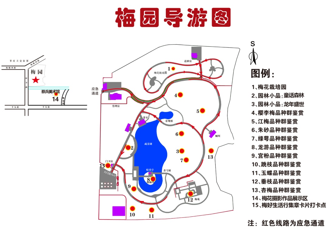 花气袭人~莘庄梅展看了吗?