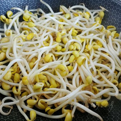 今晚花10分钟做好蒜辣酱焖胖豆芽,明天便当就吃它