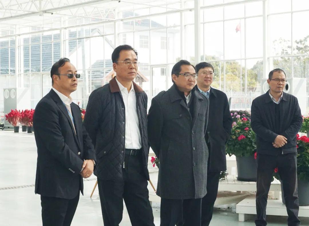 市农业农村委主任张国坤率队来崇调研乡村振兴建设