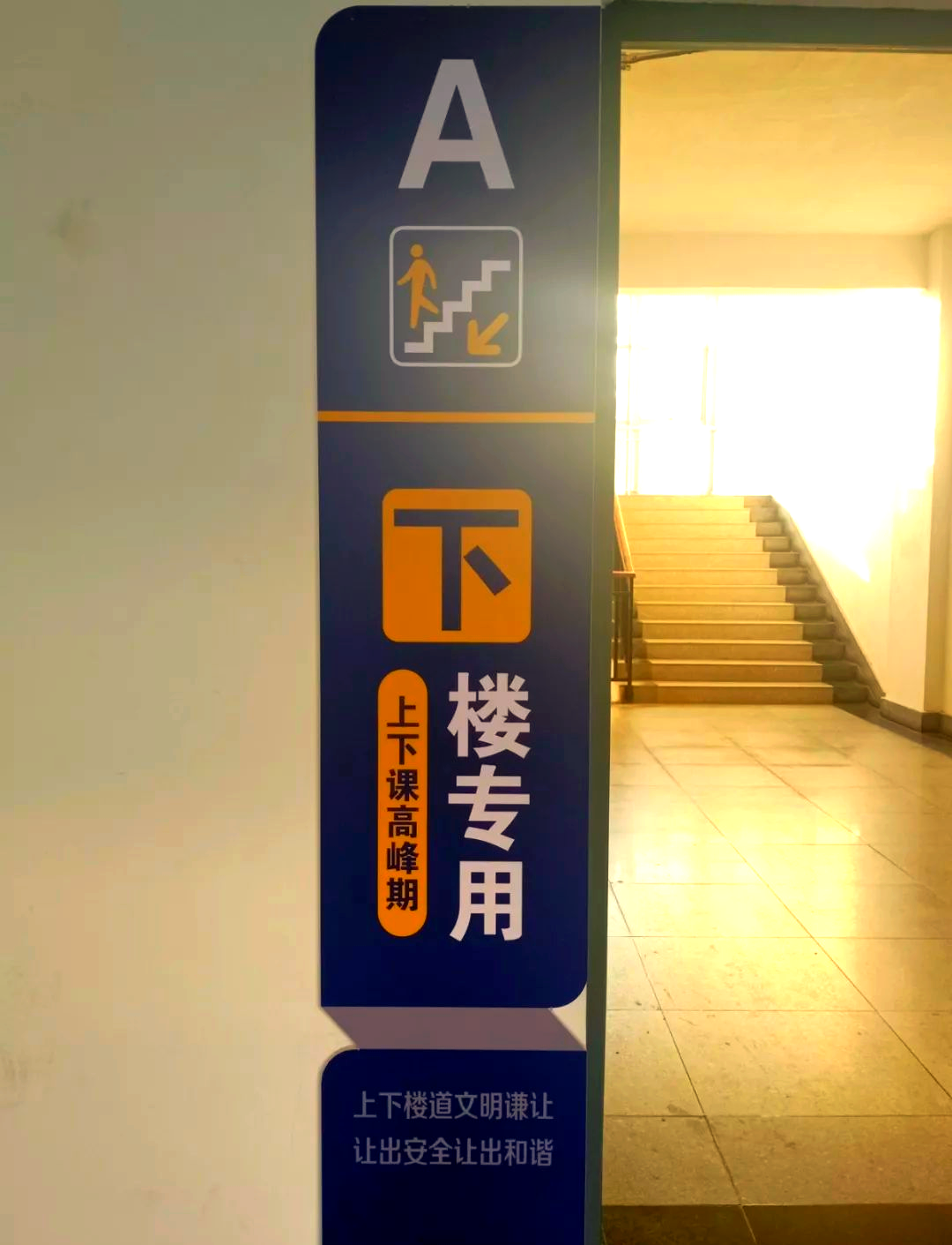 年度回顾丨这些校园指示牌你留意过吗?