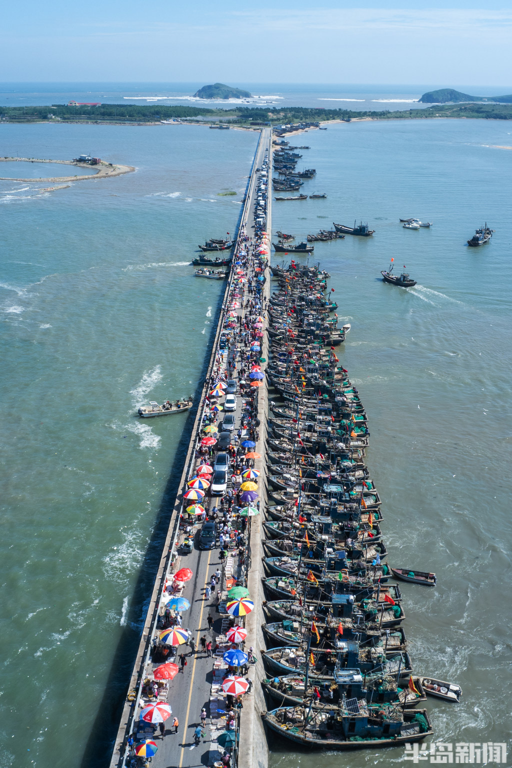 湛江海鲜码头图片