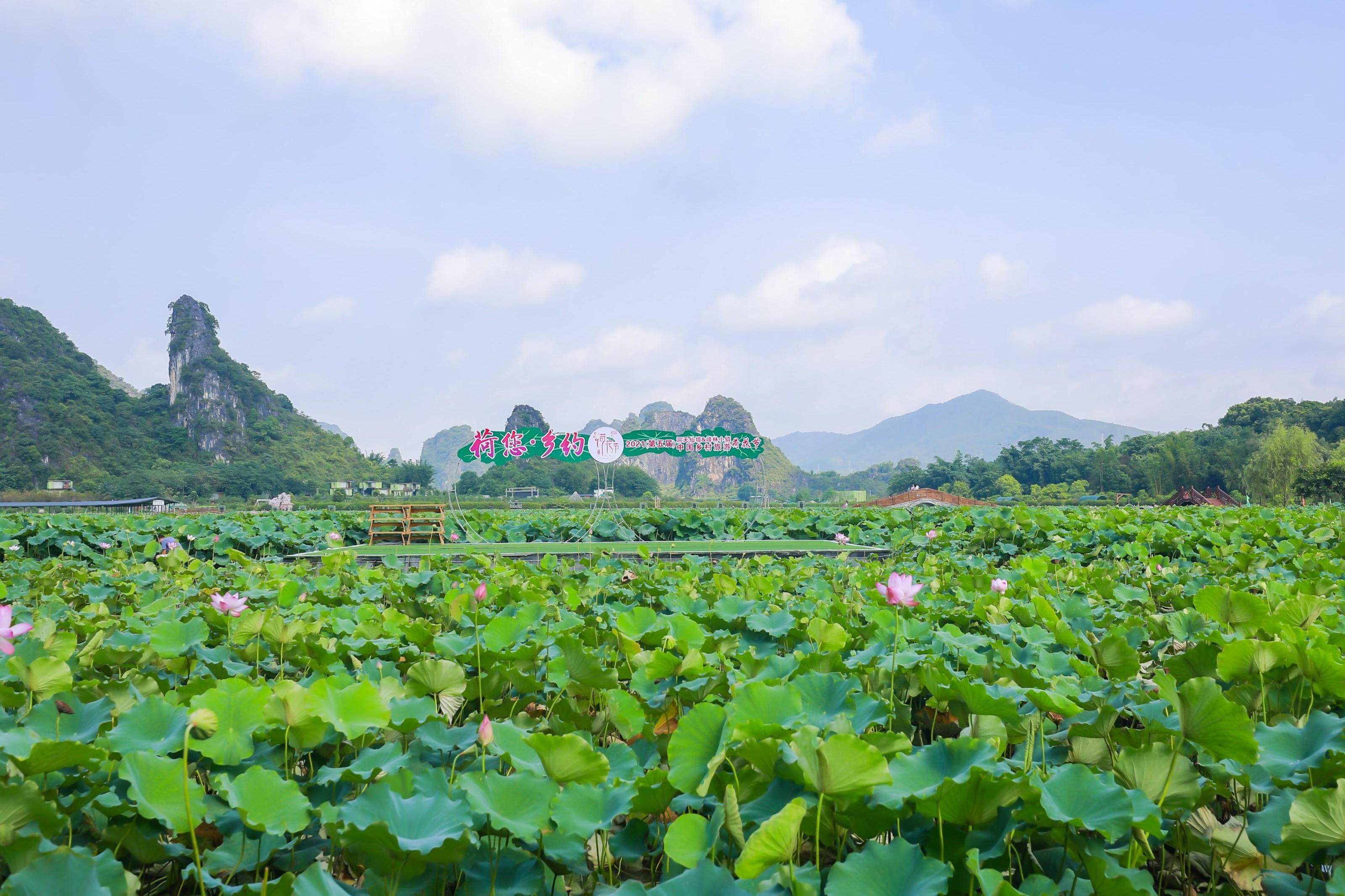 酷玩今夏「乡村游」古老产地变酷玩景点 广东乡村之旅值得探索|活力