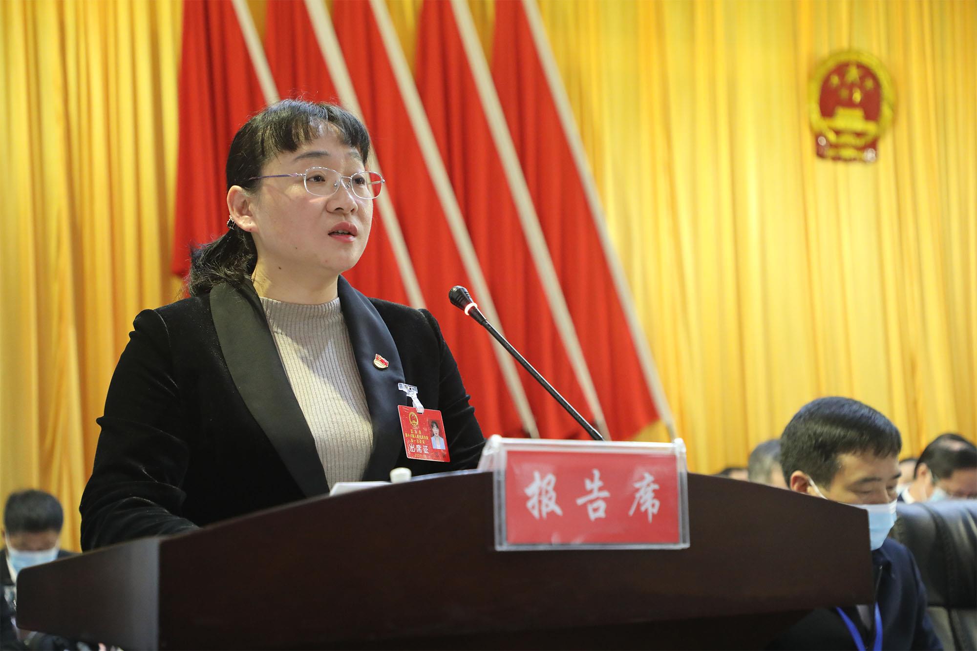 「聚焦两会」邓群代表蓝山县人民政府向大会作政府工作报告