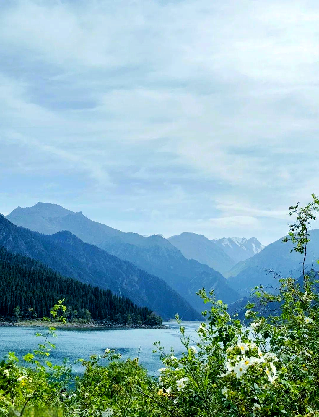8月份去新疆天山天池 8月份去新疆天山天池