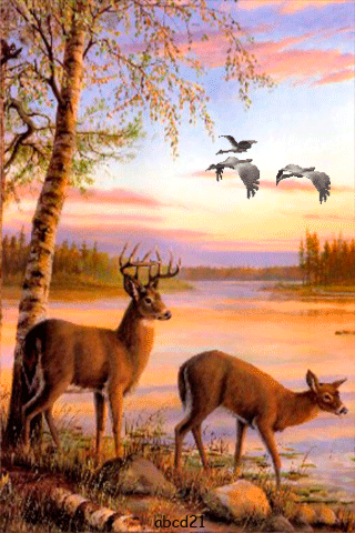 100张会动的照片,看一眼就入迷,太绝了!