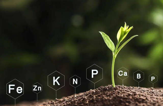 菜吧:土壤微生物与氮元素的关系